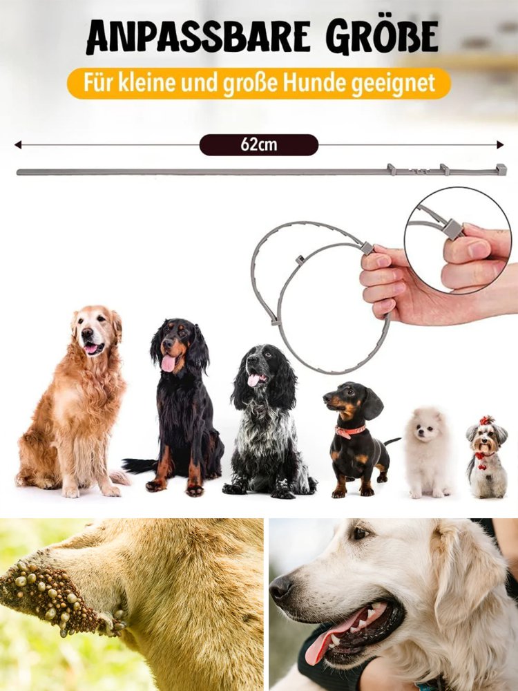 Haustier Entwurmungshalsband