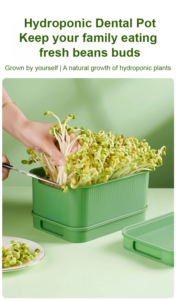 Kitchen countertop sprouting planter with seeds