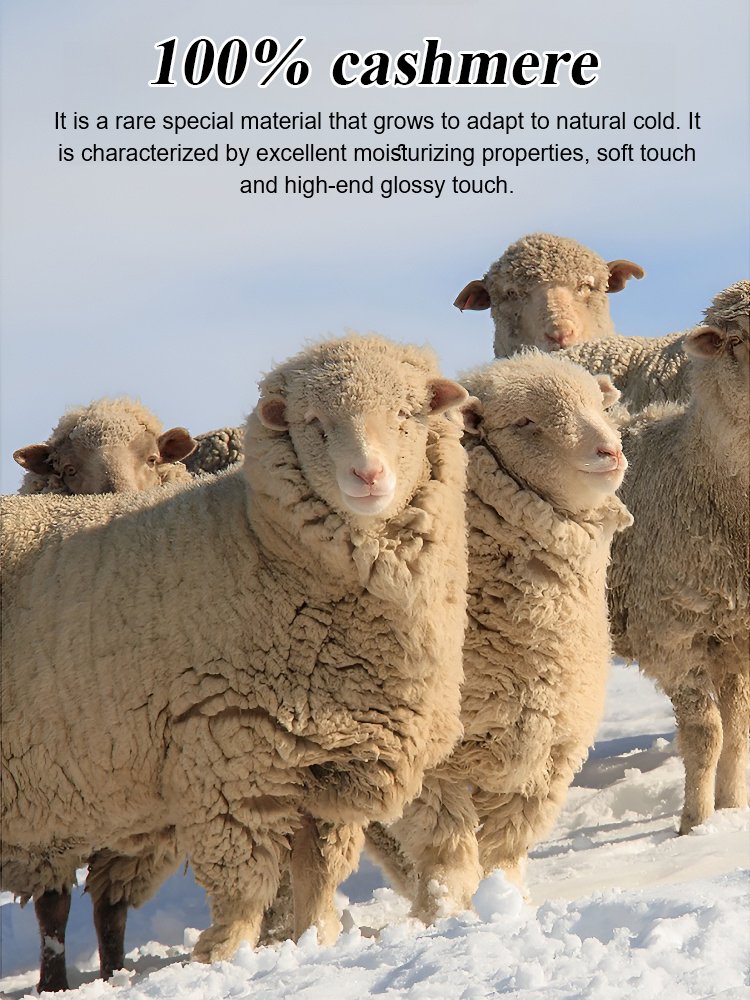 Knitted wool cardigan