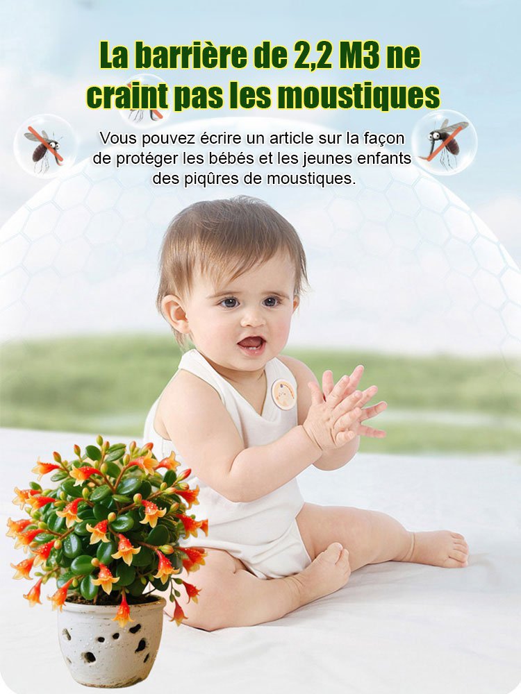 【Répulsif pour insectes】Columnea facile à entretenir, résistant au froid et à la chaleur, absorbant 