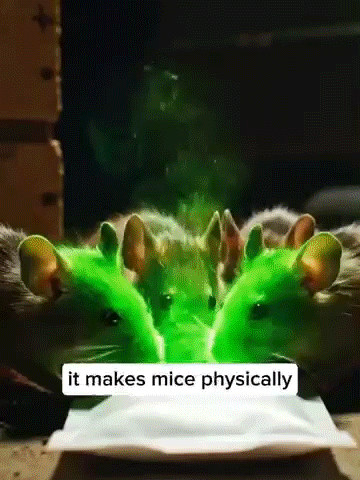 Household Anti-Rodent Chewing Interference Repellent