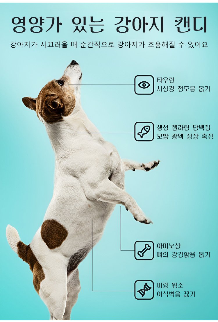 강아지 캔디 고체 영양밤 제품 이미지