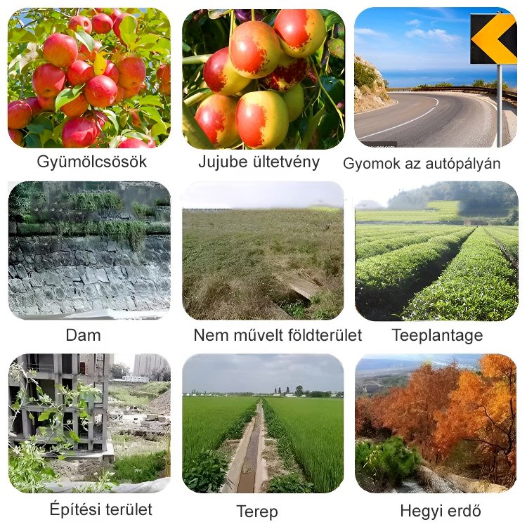 Oxamidofosz gyomirtó szer magas koncentrációja