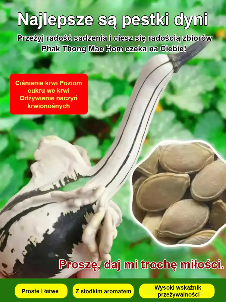 【Naturalny aromat mleczny】Nasiona dyni "Biały Łabędź"