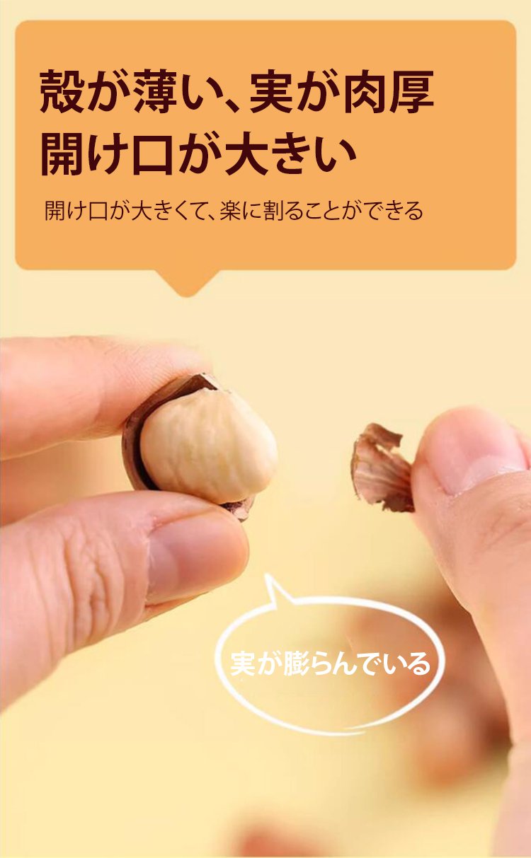 無添加殻付きヘーゼルナッツのアップ写真