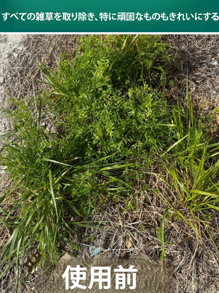 【10分で1,000種類以上の耐性雑草を根絶】東京農業大学が推奨する2025年超強力除草剤❤️土壌に無害