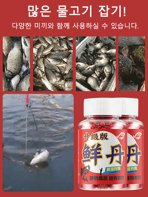 【3분 빠른 낚시】신선한 미끼
