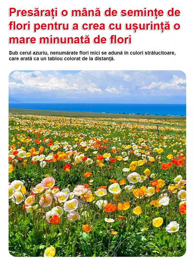 【Flori de patru anotimpuri】Amestec de semințe pentru un câmp de flori