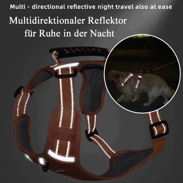 Explosionssicherer Schoßhundegurt vom Hundetrainer empfohlen