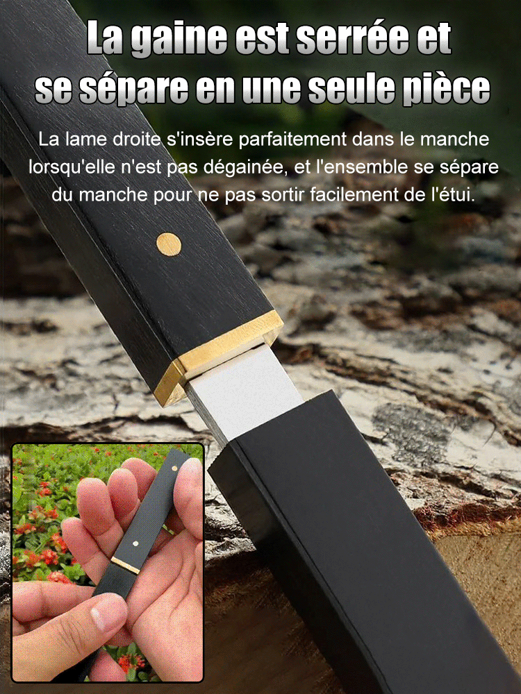 Couteau à fruits multifonctionnel en ébène