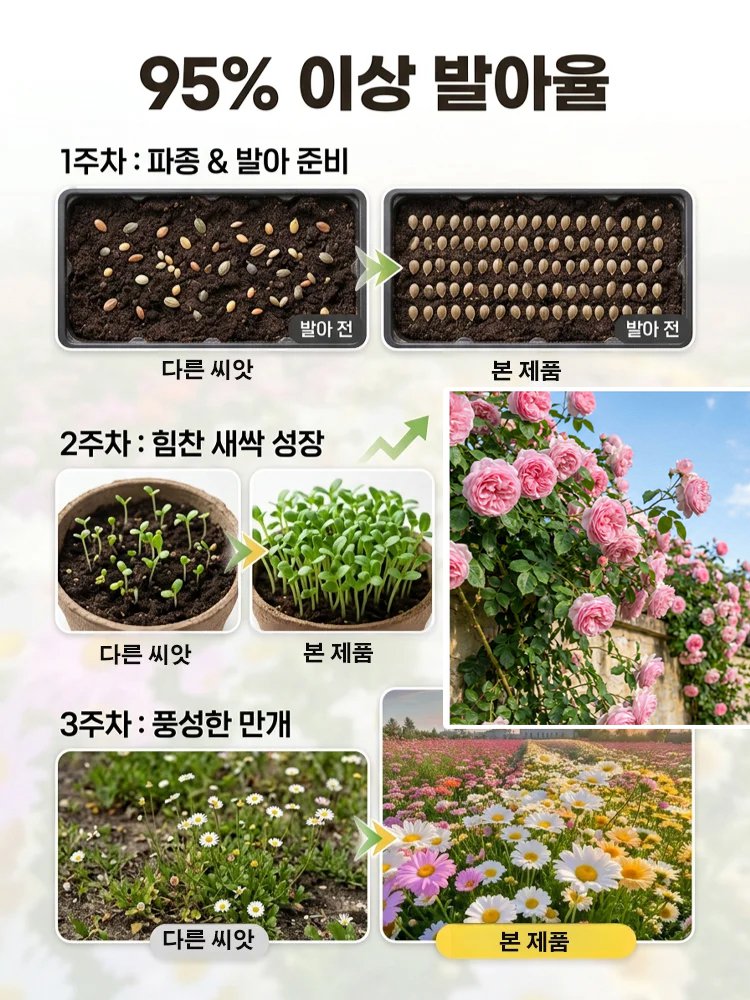 [씨앗 하나가 꽃바다를 이룬다] 사계절 덩굴장미 씨앗