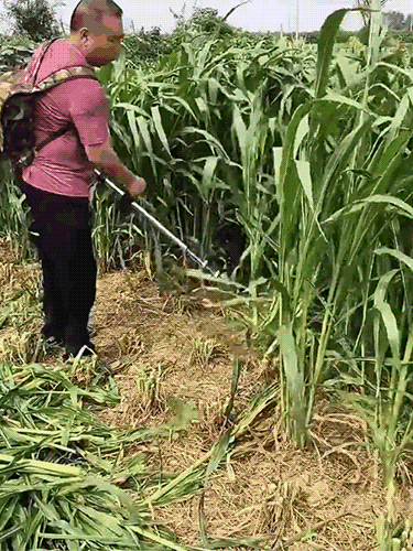 【Garantía de 10 años】Cortacésped de jardín ligero con batería de litio