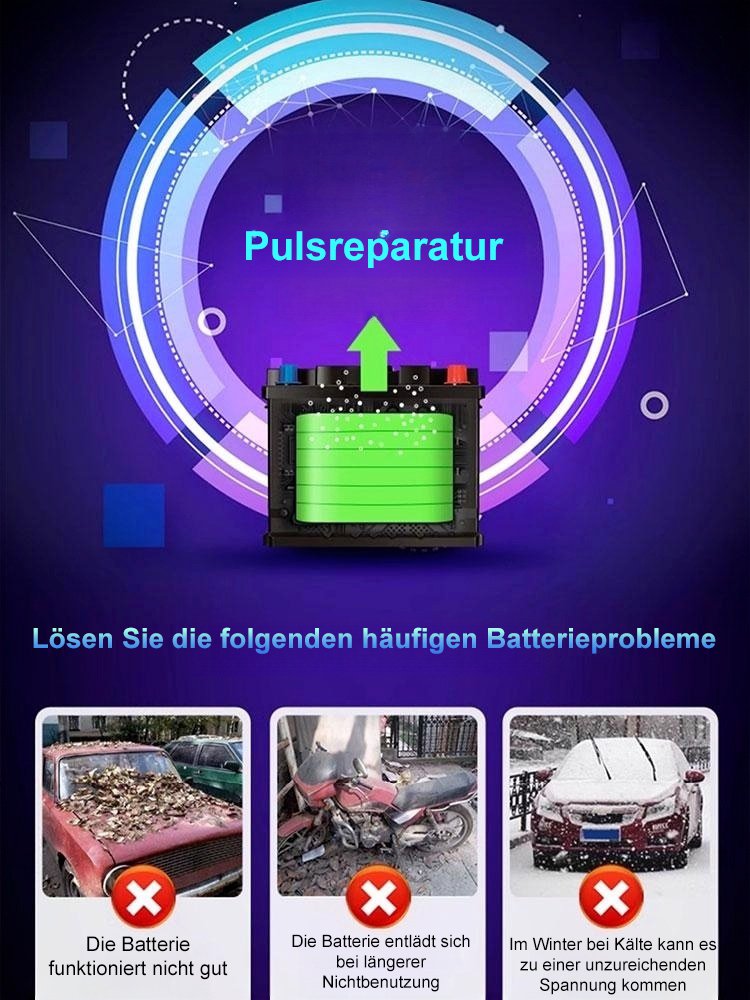 FAST Autobatterie-Ladegerät