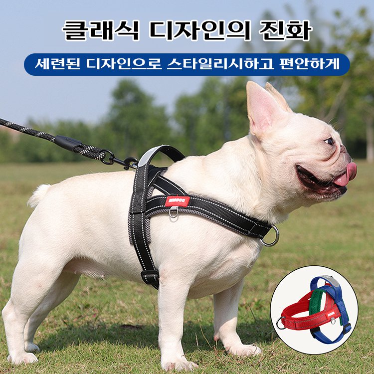 giipet-트리컬러 컬러 하네스