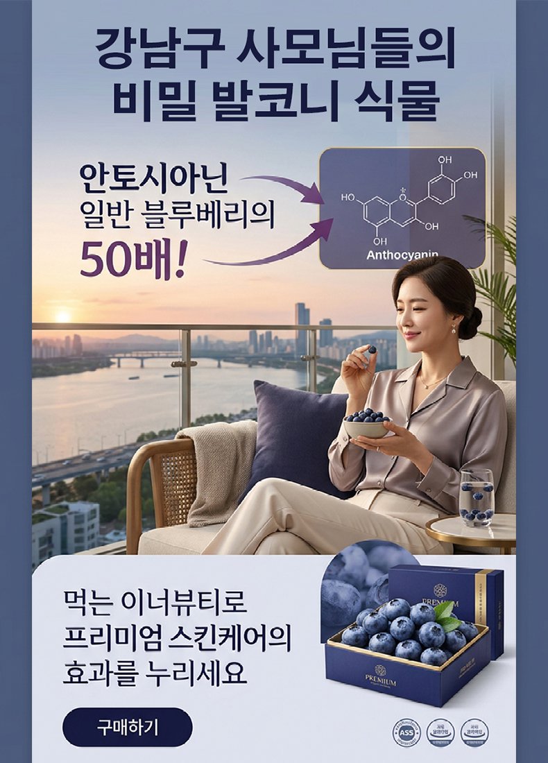 【천연 약재 창고】사계절 재배 가능한 발코니 화분 블루베리 씨앗