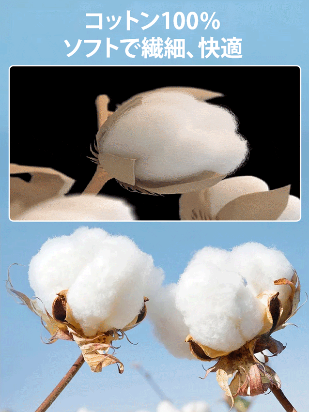 刺繍綿麻ブラウス