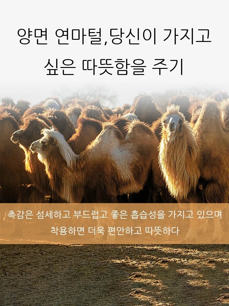 쑥 무릎보호대