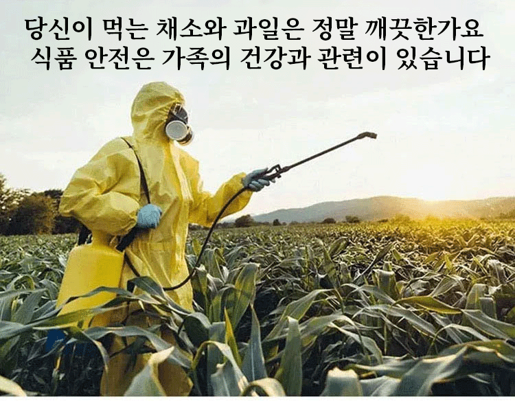 채소와 과일을 동시에 세척하는 자동 세척기