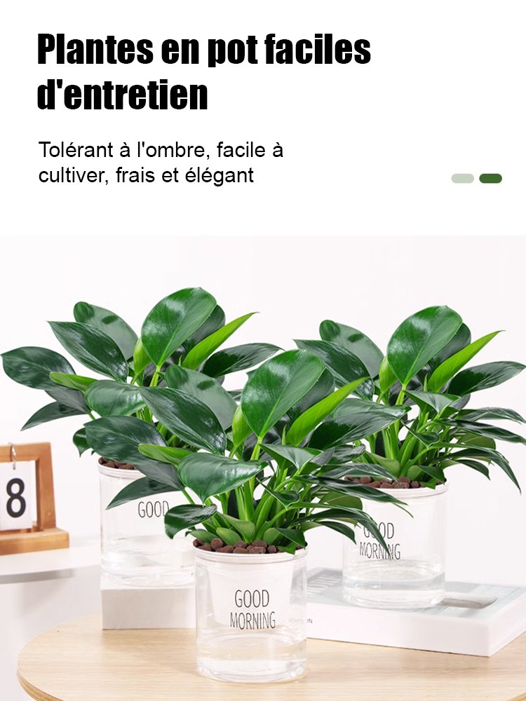 Passer commande en fonction du volume de commandes.