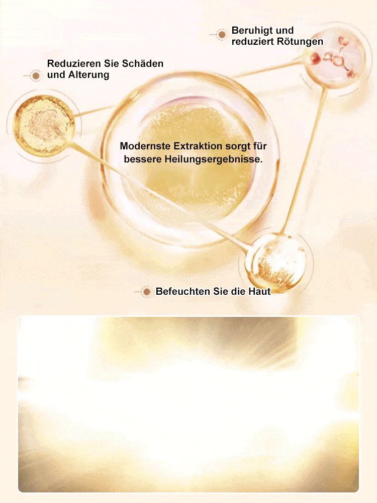 【Faltenentferner】Dr. Yunmei Bozein Anti-Falten-Serum-Lotion