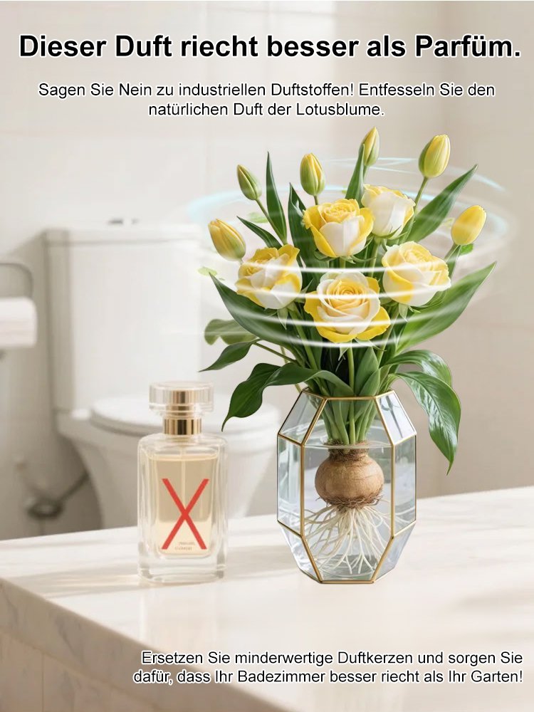 【Blütezeit 300 Tage】Stark duftende, wassergezüchtete Rosenknollen