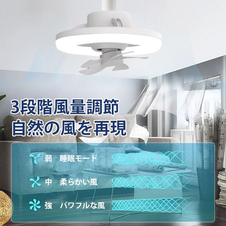 シーリングファンライト