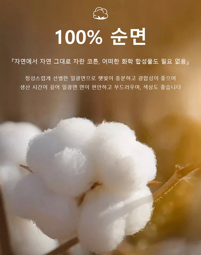 고급 10A 항균 통기성 남성 팬티