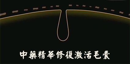 10.gif