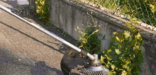 5.gif