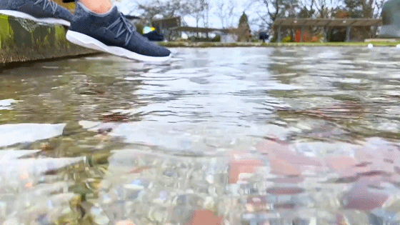 Searching C -【Vessi Footwear 全球首對 100% 防水針織運動鞋 - Shoe entering water】_20200509105657.gif