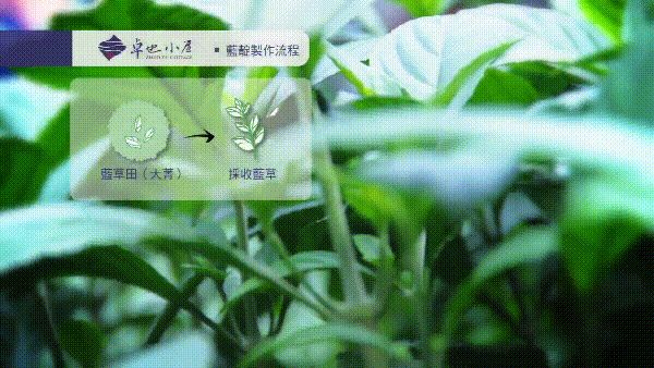 卓也小屋藍靛生產、建藍及藍染流程介紹影片 (1).gif