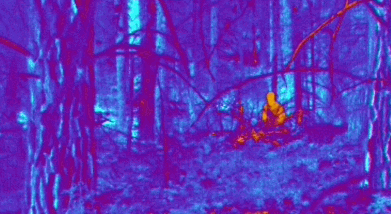 1595065378986635.gif