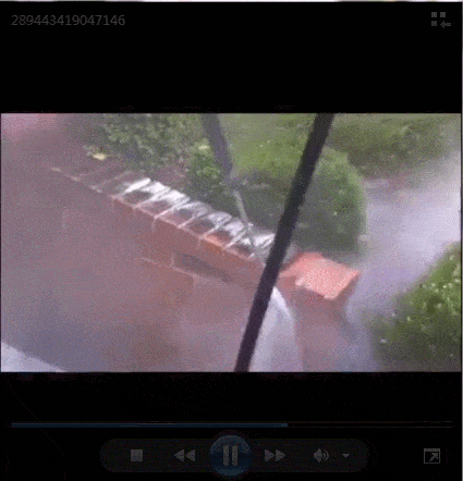8.gif