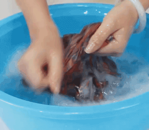 09.gif
