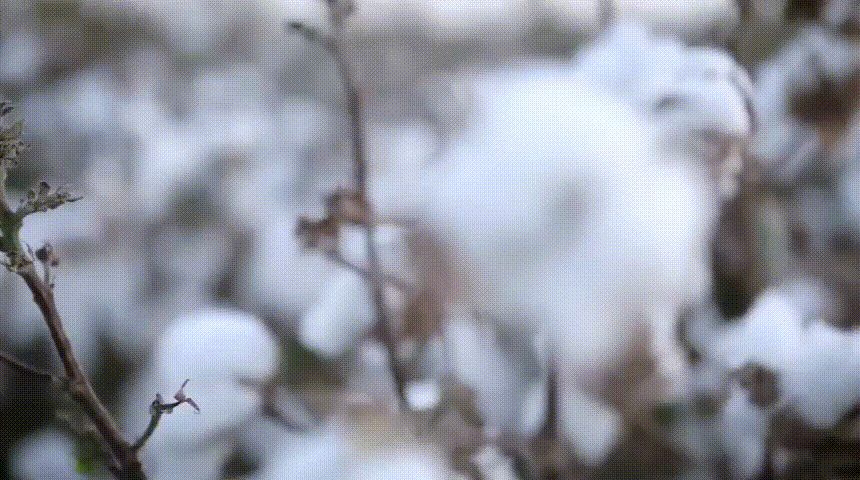 1615976169336565.gif