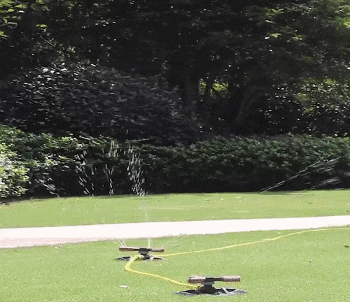 6.gif
