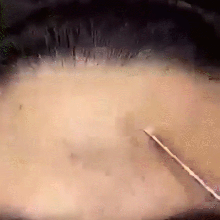 20.gif