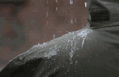 15.gif