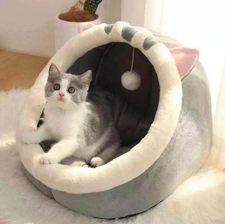Soft and comfortable pet sleeping mat for indoor cats and small dogs