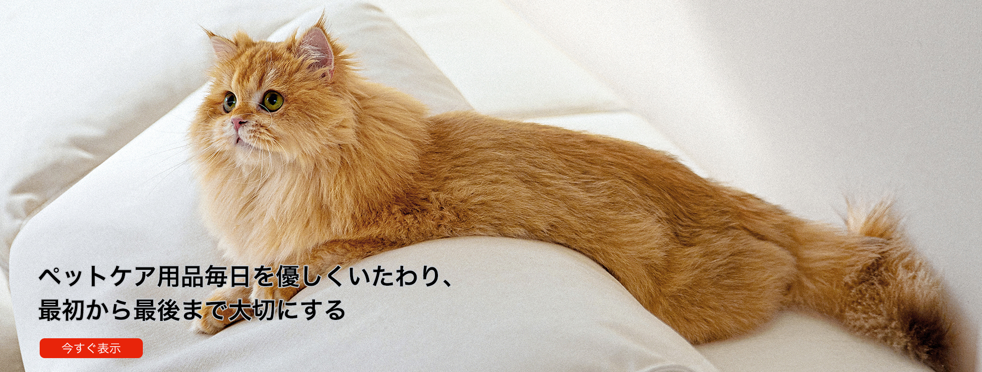 aka オンラインストア