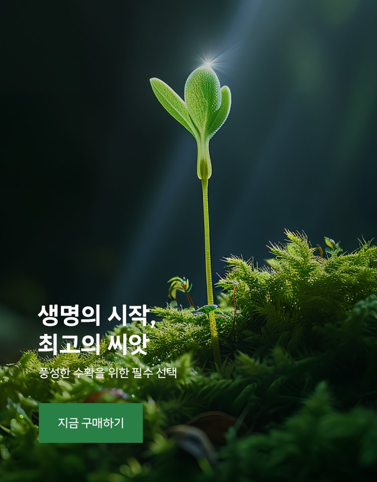 aimmdd 온라인쇼핑센터