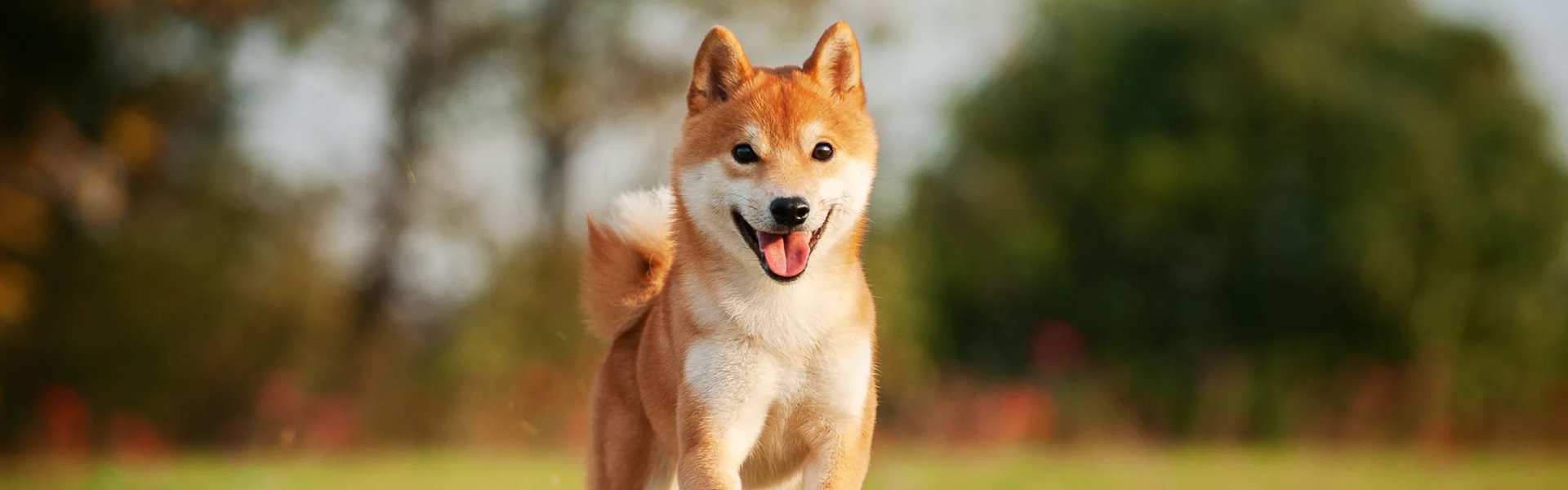 yukilo オンラインストア