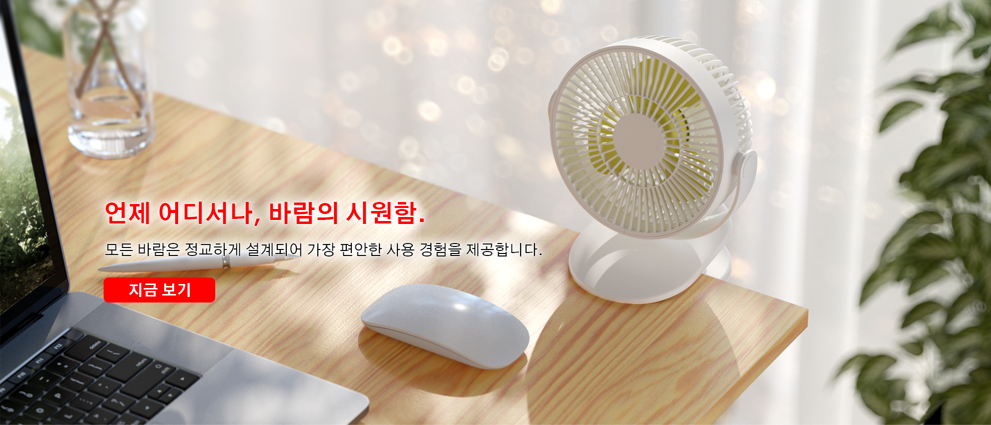 ltbybt 한국 쇼핑몰