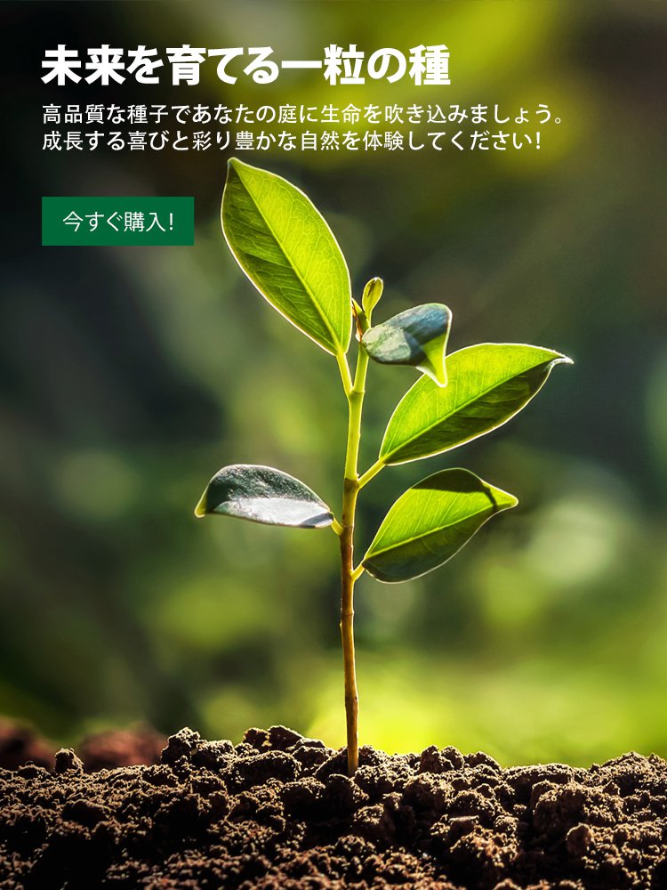 オンラインストア