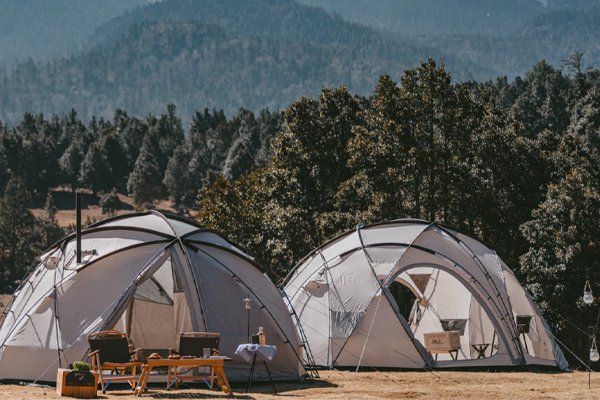 オンラインストア