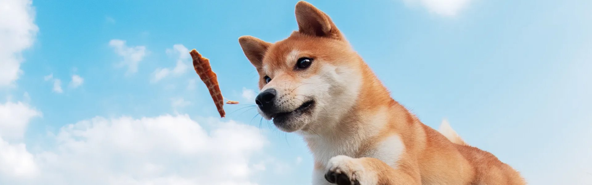 Alles für Ihr Haustier online kaufen – Top Qualität & günstige Preise,Moderne Heimtextilien online bestellen – Stilvolle Wohnideen,Praktische Küchenutensilien für jeden Bedarf – Jetzt online entdecken