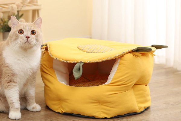 オンラインストア