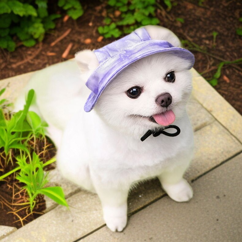 流域の帽子 かわいいデザイン 綿素材 日よけ