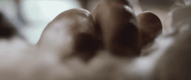 详情_09.gif