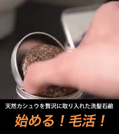 カシュウ洗髪石鹼